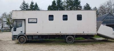 Iveco 6 places chevaux