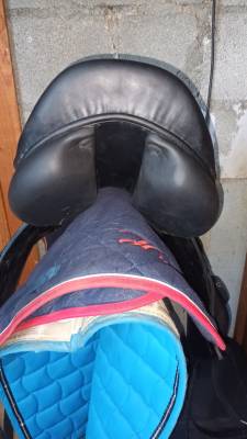Selle de cross 