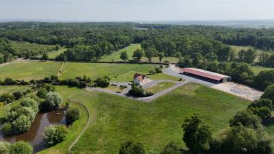 MEZIDON VALLEE D'AUGE - HARAS SUR 10HA