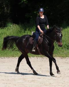 Monitrice d'equitation 