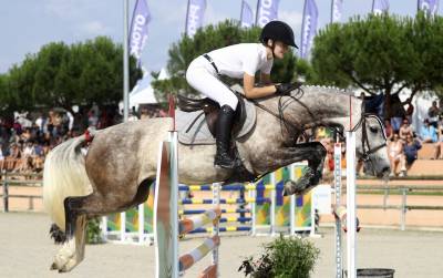 Merrie Bekend ras Te koop 2016 Schimmel