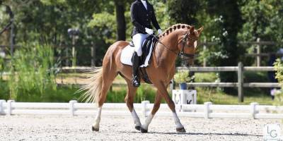 Poney gp dressage 