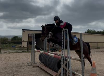 Poney hors côtes 5 ans 