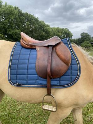 Selle forestier 17