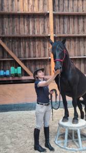 Jazzy, jument Mérens – 6 ans – élégante, douce et sûre