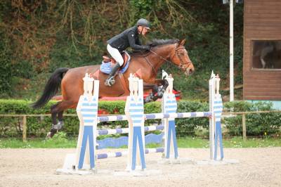 Jument de 9ans prête sur 120 cso 