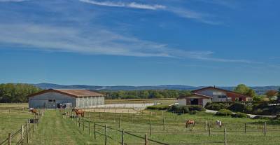 Pension chevaux