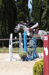 Poney de 8 ans avec toise FEI