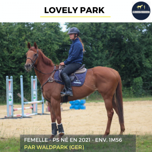 Lovely park - ps - 4 ans 