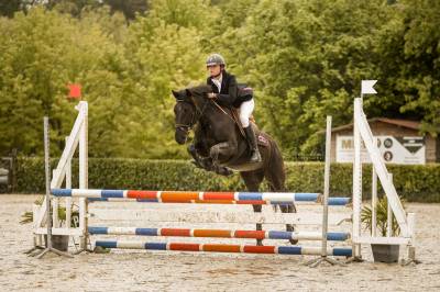 Poney de 4 ans facile et gentil au travail