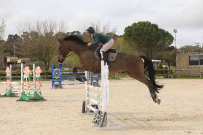 Cheval 
