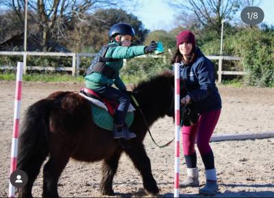 Pony castrone 