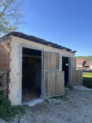 Pension dressage et bien-être