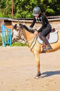 Ponette de loisir ou dressage à vendre