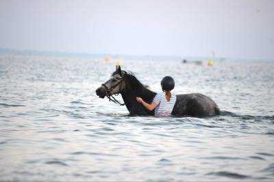 Adorable ponette d pfs