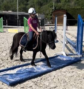 Ponette shetland 1m04 5 ans pp 