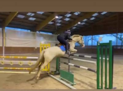 Vends poney de sport et loisirs 