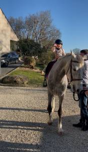Cheval pour cso/cce