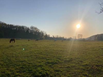 Pension à 10 minutes de bourgoin jallieu