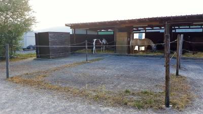 Palefrenier-ère / employer agricole