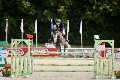 Jument de sport de 6 ans