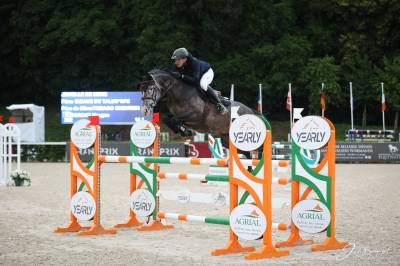 Jument de sport de 6 ans