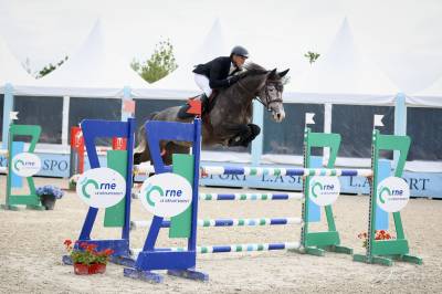 Jument de sport de 6 ans
