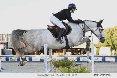A vendre cheval amateur élite