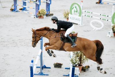 Jument 10 ans ( baisse de prix)