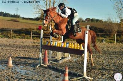Polka de lodes poney d 