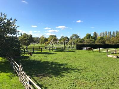 Haras pays d'auge 24 hectares