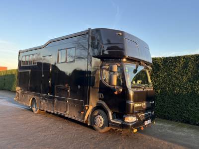 Camion pl chevaux daf lf 2010 occasion