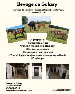 Pension chevaux - elevage de galaxy 47360 sembas