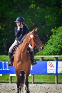 Jument cso amateur 2