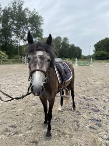 Ponette 4 ans 