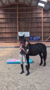 Jazzy, jument mérens – 6 ans – élégante, douce et sûre