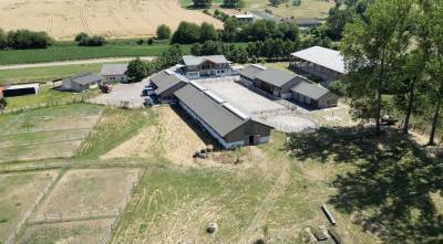Haras