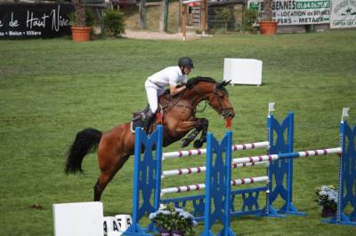 Soigneur et entretien propriété - haras cso calvados