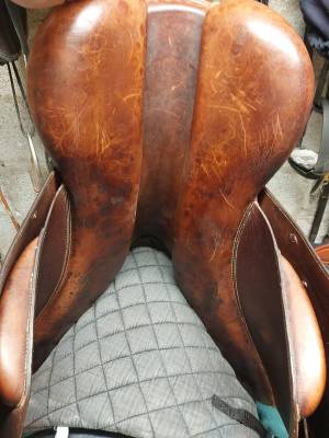 Selle mixte forestier