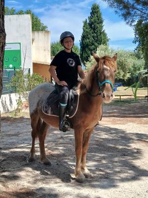 Double poney