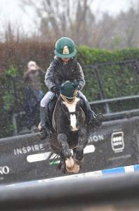 pony in vendita