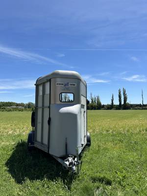 Van ifor williams 2 places