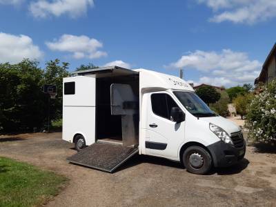 Camion chevaux