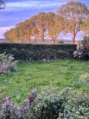 Propriété équestre sur 4 hectares - hauts de france 