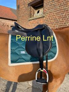 Selle de dressage noir prestige italia modele top dress