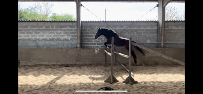 à vendre 