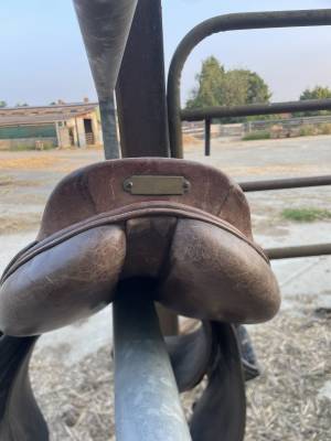 Selle équitation