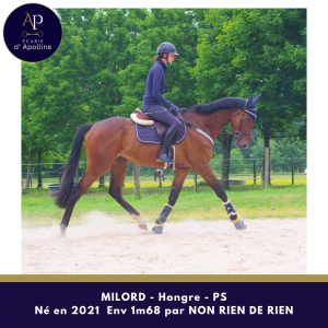 4 ans 1m68 mental en or