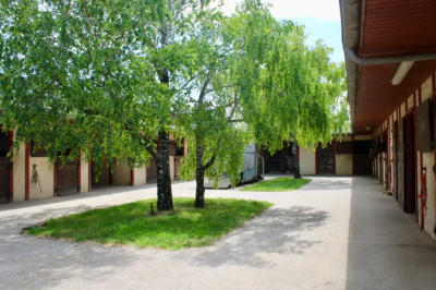 Ecurie située à 10 mn de saint jean d'angely (17)