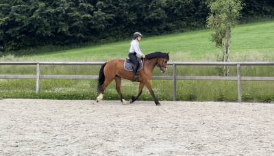 Super cheval pour se faire plaisir!